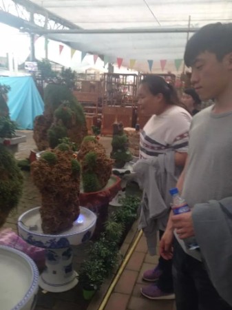 点此在新窗口浏览图片